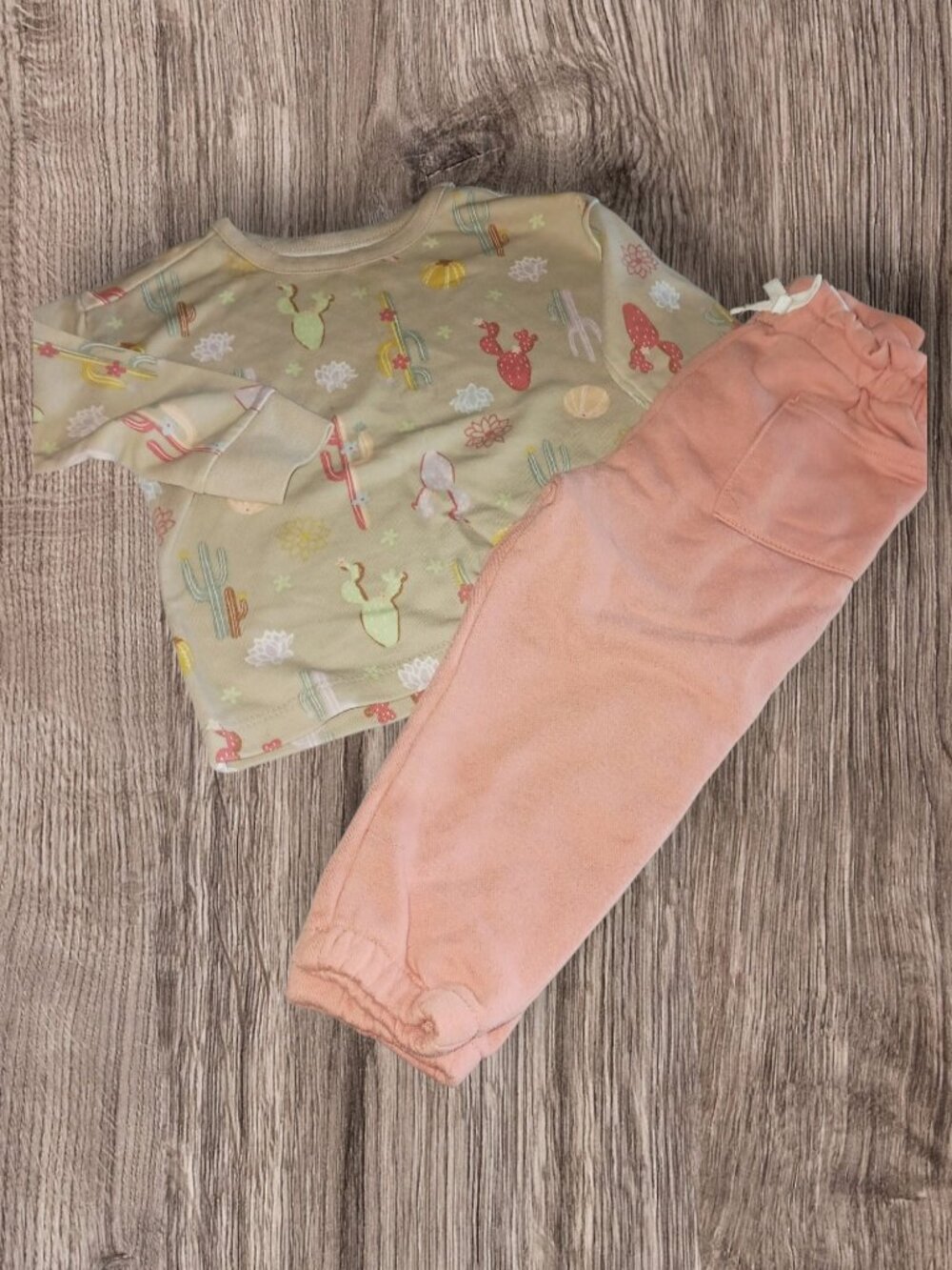 : Garanimals Cactus & Llama Print Long Sleeve Top & Pink Pants Set 2T
